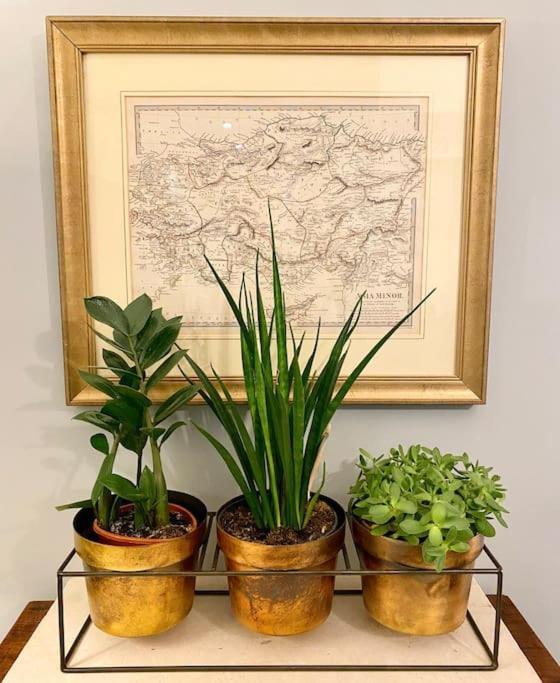 Old Riga Designer Luxury Apartment מראה חיצוני תמונה